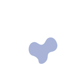 19d4aaf8-placeholder-1770010498