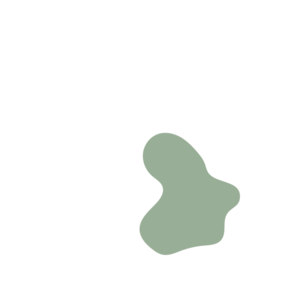 8445f454-placeholder-1770008129