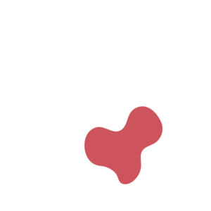 3b36ae8d-placeholder-1770053125