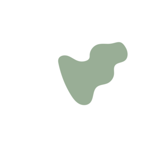 Baca183c-placeholder-1769021772