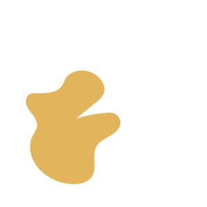 0381fd3b-placeholder-1770027250