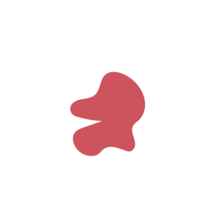 2e38d4f9-placeholder-1770023468