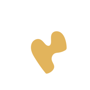 Ca0bc329-placeholder-1770055258