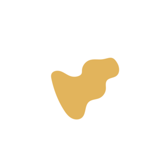 8a40c833-placeholder-1770007193