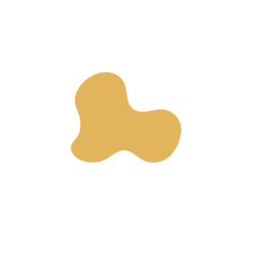 228f2d86-placeholder-1770020801