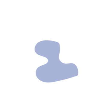 3b4ac5e5-placeholder-1770055342