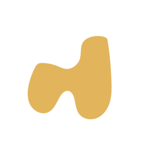 46181305-placeholder-1769377481