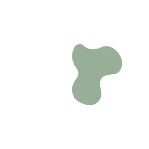 Daca6ff4-placeholder-1768564076