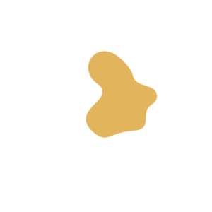 C5e0b110-placeholder-1770303500