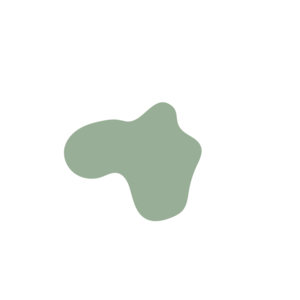 54a3ef82-placeholder-1770006889