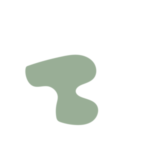 05170e68-placeholder-1769754364