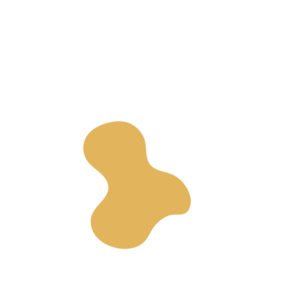 Bca288e1-placeholder-1769219119