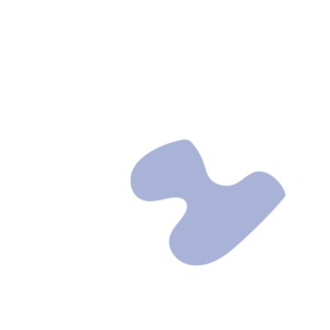 6c84b7d8-placeholder-1770011195