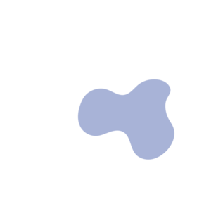 5803c58d-placeholder-1770026521