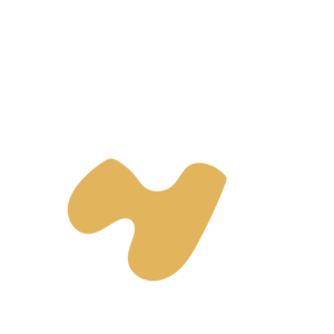 9f552bd5-placeholder-1770161232