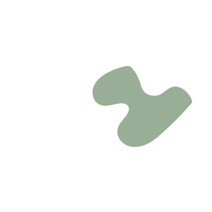 7f9e4fe1-placeholder-1770033659