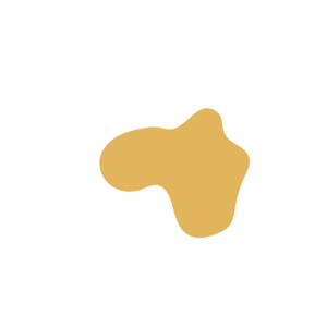 5d99524f-placeholder-1769997585