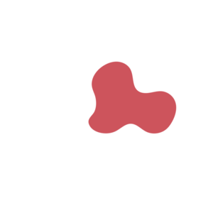 1e81c596-placeholder-1770026839