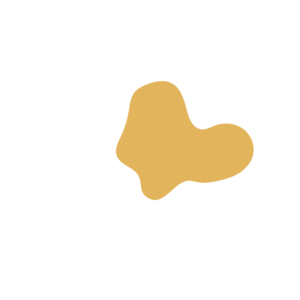 330ca51c-placeholder-1770014240