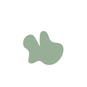 9853aed1-placeholder-1770030166