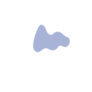 06121096-placeholder-1770011839