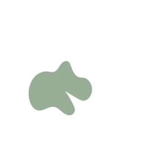 Bc9f473f-placeholder-1770017170