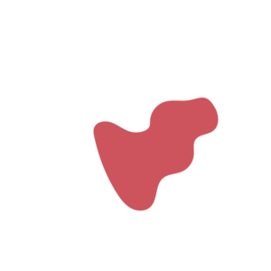 C5a1335b-placeholder-1770015574