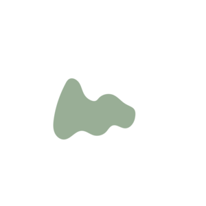 5a4b2c37-placeholder-1770016127