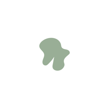 126c2da8-placeholder-1769191367