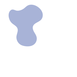 12f795ad-placeholder-1770052282