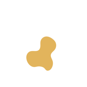 63b6e065-placeholder-1770028039