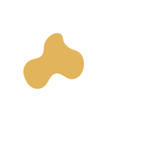 5919cc50-placeholder-1769994771