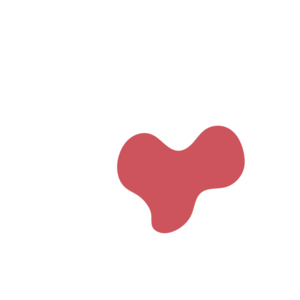 2e3c4fe6-placeholder-1770008789