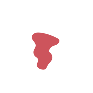 75d0783f-placeholder-1769761555