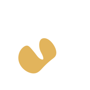 8f0db00f-placeholder-1770019092