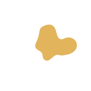 61db27e3-placeholder-1770014569