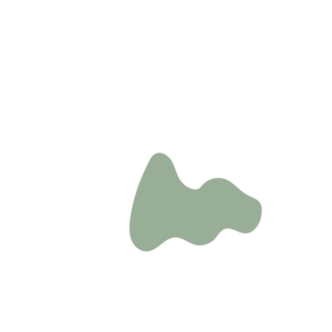 4e8452e8-placeholder-1770020012