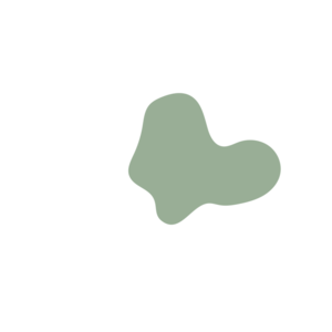 1728efbd-placeholder-1770054958