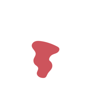 30b357a7-placeholder-1769994774