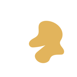 5f0ce333-placeholder-1770022385