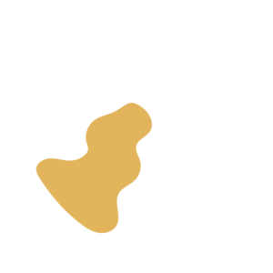 67489ffb-placeholder-1770047209