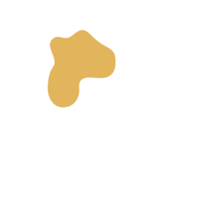 Ca0bc70d-placeholder-1770056392