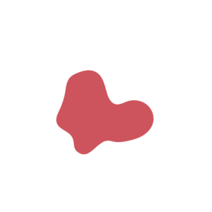 0b6dcb76-placeholder-1770053861