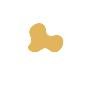 5990eb1b-placeholder-1770055471