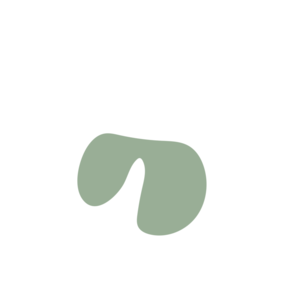 7e97d66f-placeholder-1769330502