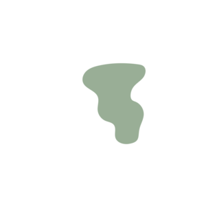 53d31602-placeholder-1770007556