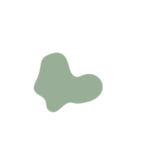 97ab1bd8-placeholder-1769995790