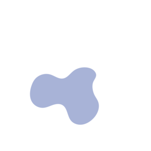 E73de1bd-placeholder-1770018270