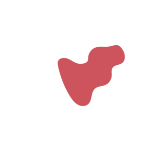 3b2d2072-placeholder-1769999169