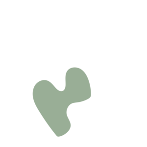 27464bb3-placeholder-1770013779